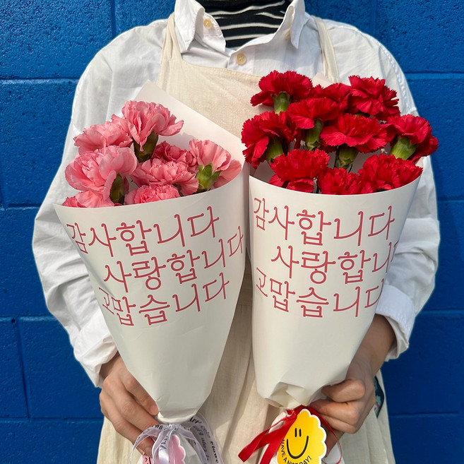 아르띠콜로 카네이션 생화 꽃다발 [주말도착 가능] 어버이날 스승의날 선물 꽃배달 (당일출고), 10개, 레드 카네이션 꽃송이수