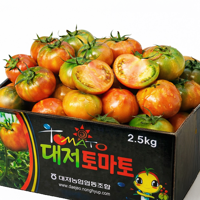 농협출고 쫀득찰찰 대저토마토, 1박스, 2.5kg (랜덤과)