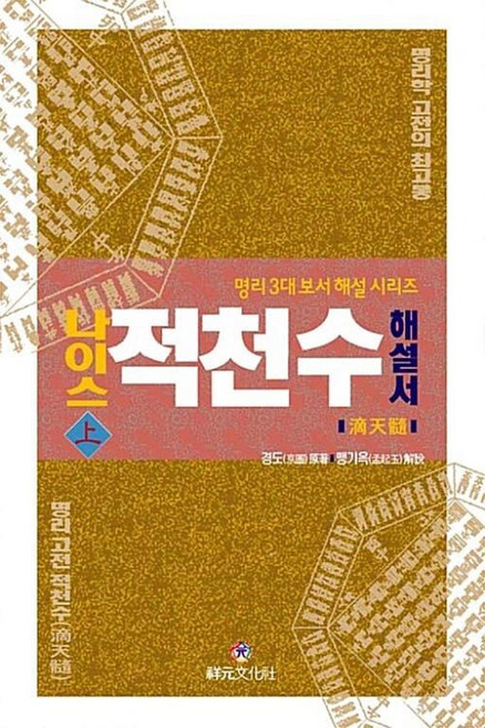 나이스 적천수 해설서 - 상