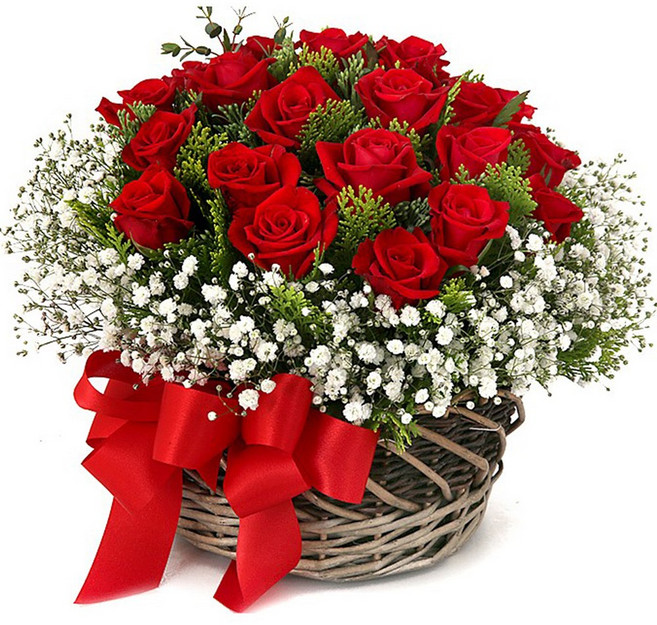 (오늘도착) 99플라워 풍성한 꽃바구니 "장미와 안개의 만남" ST-A1596 - 생일 기념일 결혼기념일 당일꽃배달 전국당일배송 생화, 1개