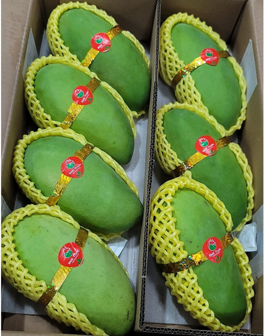 [비엠케이] 베트남 그린망고, 1박스, 5kg 내외 (다일론)