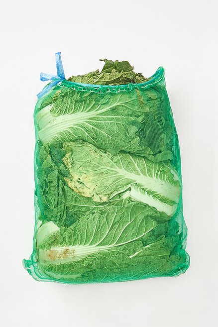 배추 통배추 국내산 두포기 2포기 전국식탁, 1, 단품