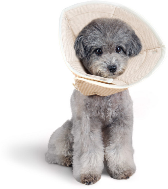 자연생각 개놀자 오가닉 펜타곤 넥카라, 브라운st, 1개