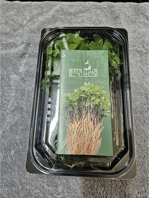 [천년새싹] 새싹인삼 <중> 50뿌리 가정용 새싹삼 수경재배 새싹인삼, 1g, 50개