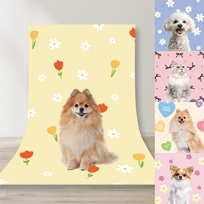 [캔바펫] 반려동물 포토존 패턴디자인 140종 강아지 반려견 반려묘 스냅 촬영, 1개, 패턴-056
