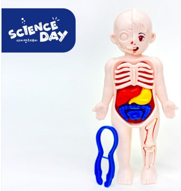 [사이언스데이] 우리의 몸, 1개