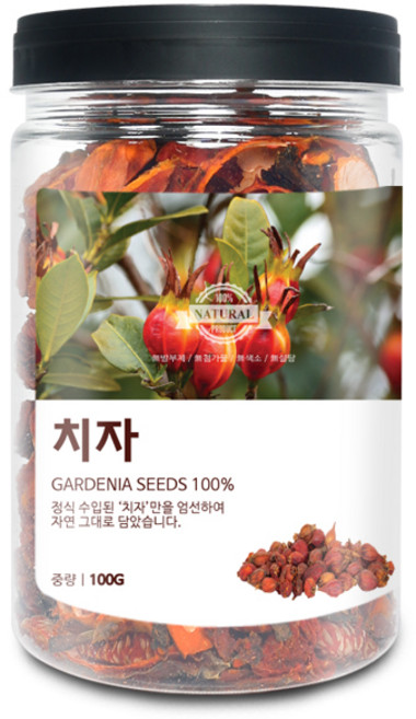 드랍쉽 치자(중국) 100g(통), 1개