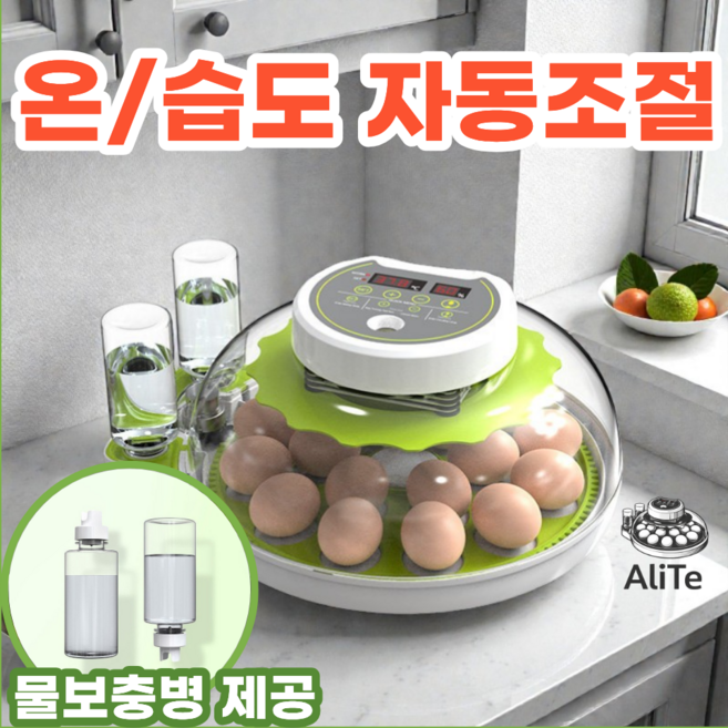 알리트 병아리 자동 부화기 온도조절기 가정용 계란 소형, 1개, 그린 12알