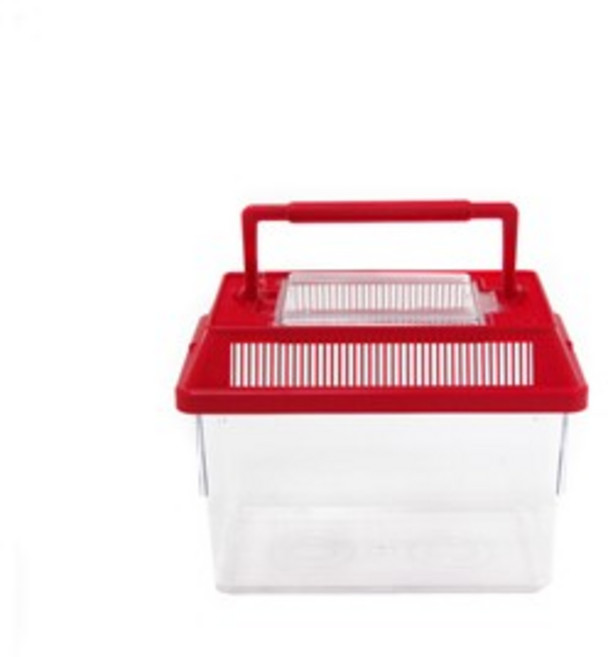 대일 채집통 [빨강] 18cm [소], 1개