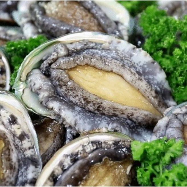 [산지직송 싱싱 출고] 믿고 드실 수 있는 완도 전복 요한수산, 보자기포장, 7-8미, 1개