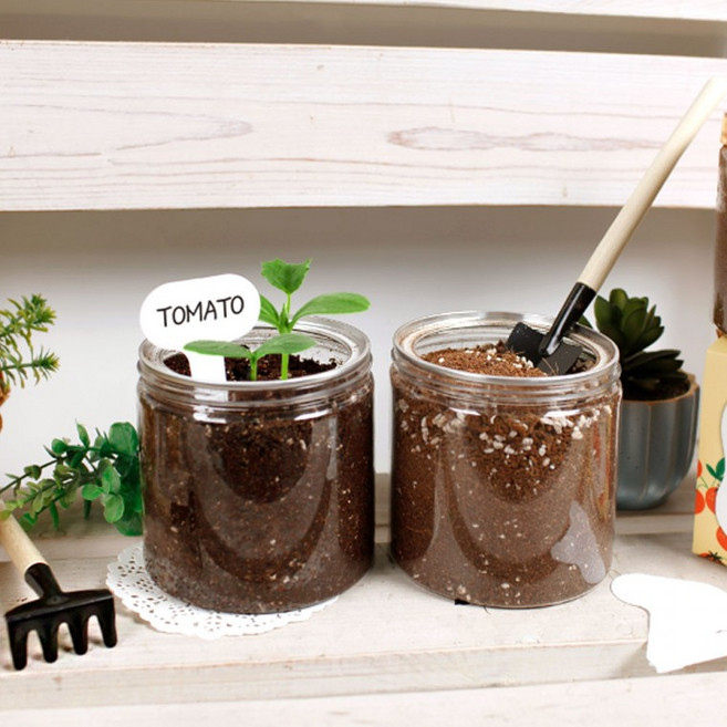 식물재배키트 이지그로우 바질 고수 딸기 방울토마토, 01방울토마토