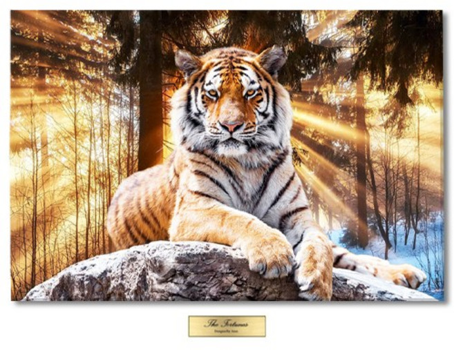 액운을 막아주는 풍수 그림 호랑이 백호 액자, 07.금빛 호랑이, 가로형 3호 29x21(cm)