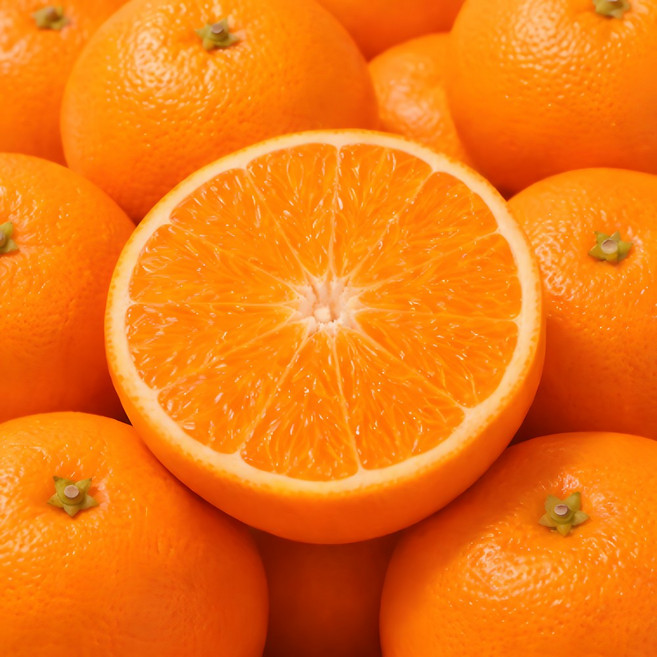 [한정특가] 최대16브릭스 제주 고당도 천혜향, 1박스, 3kg