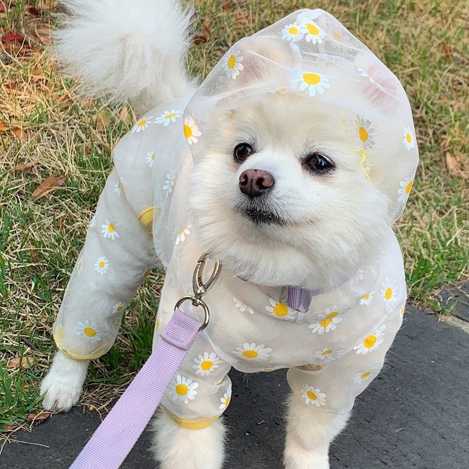 [데이지꽃] 강아지 해충방지 옷 진드기 방지 옷 메쉬올인원, 1개