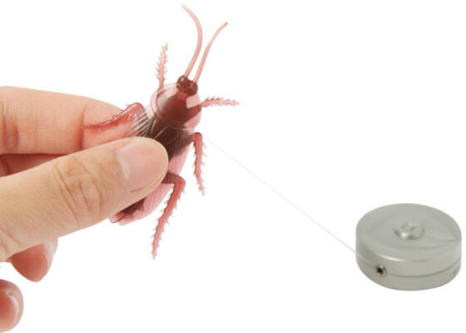 아트박스 도망가는 바퀴벌레, 색상, 1개