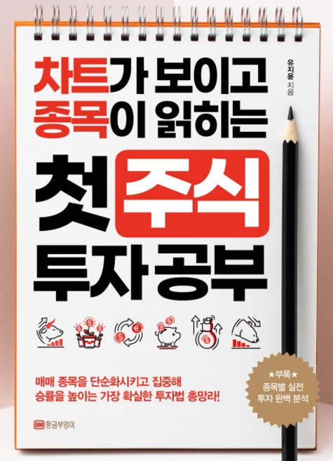 첫 주식 투자 공부:차트가 보이고 종목이 읽히는, 황금부엉이, 유지윤