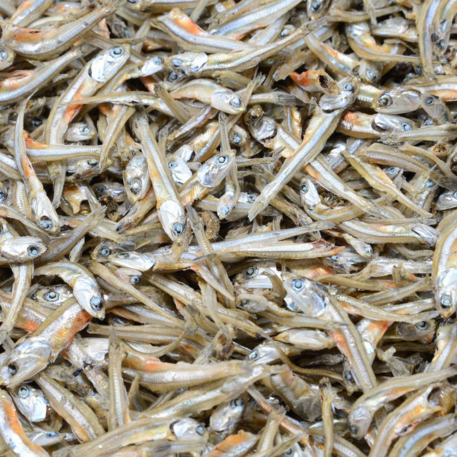 태형상회 국내산 볶음용 안주용 가이리(소멸)멸치-1.5kg, 1개, 1.5kg