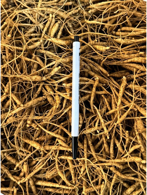 26년 인삼 묘삼 달랭이삼 미선별 /직접 집에서 묘삼기르기 산 밭 재배용, 1. 1년근 미선별 반채 380g, 1개