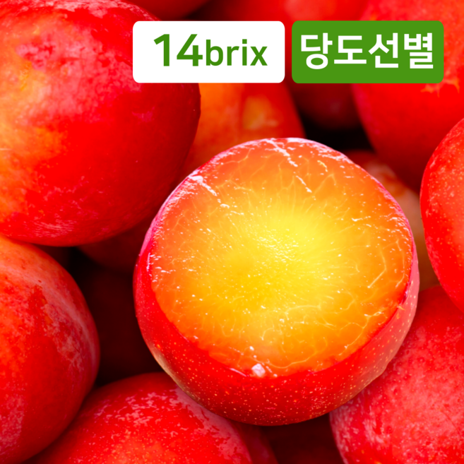 당도자신감 달콤쫀득 후무사 추희 자두, 1개, 1kg