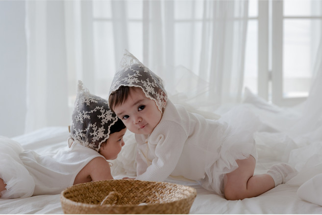 우이동금손 바이올렛 레이스보넷