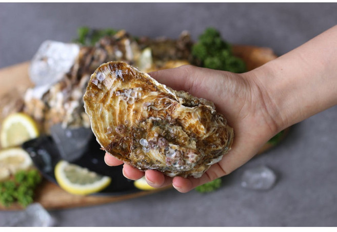 5kg 통영 매일 채취 수출용 사계절 삼배체굴 산지직송 석화 대왕굴 반손질 하프셀 [원산지:국산(경상남도 통영시)], 1개, 반손질 삼배체 하프쉘 5kg