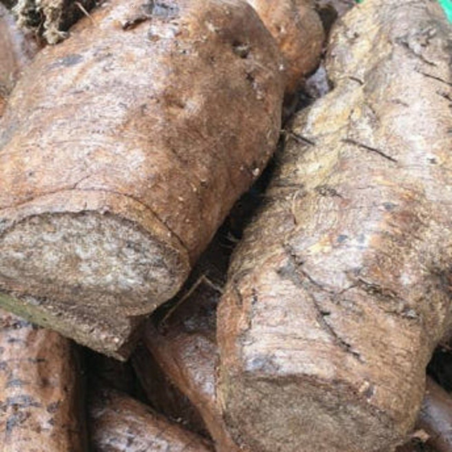 (3일간파격가할인) 통째로 갈아만든 지리산 하동 암 알 칡즙 원액 액기스 100%착즙, 50개, 110ml