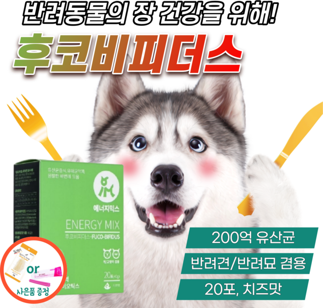 강아지 장 건강 에 도움 스틱 영양제 고양이 펫 유산균 후코이단 비피더스 위 췌장 소화 에 좋은 보조제 반려견 위장 케어 분말 파우더 치즈 맛 프로바이오틱스 면역력 장염 설사 예방, 40g, 1개