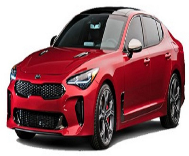 스팅어 대쉬보드 포인트 카본 마스크 스티커