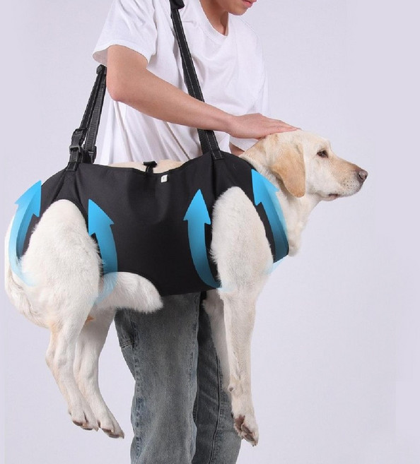 대형견 노령견 재활 산책용 보조하네스 블랙계열, 1개, 블랙