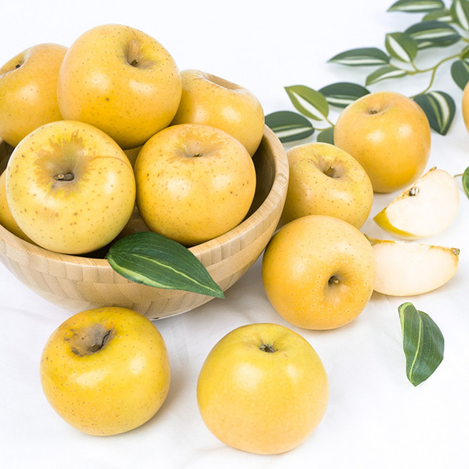 가족 못생겨도 맛있는 보조개 시나노골드사과 5kg(30입내/박스), 1박스