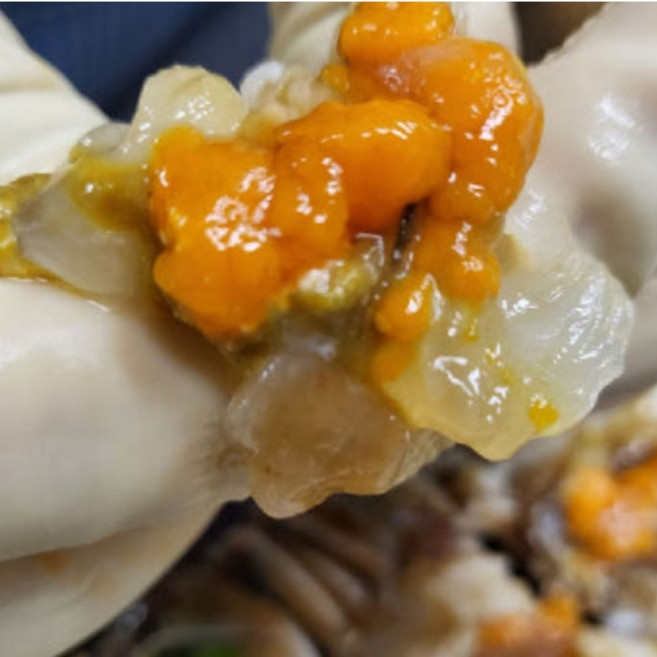 밥도둑 명품 삼점 암꽃게장
