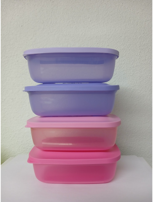 타파웨어 스몰 세이버 4P 세트, 4개, 1세트