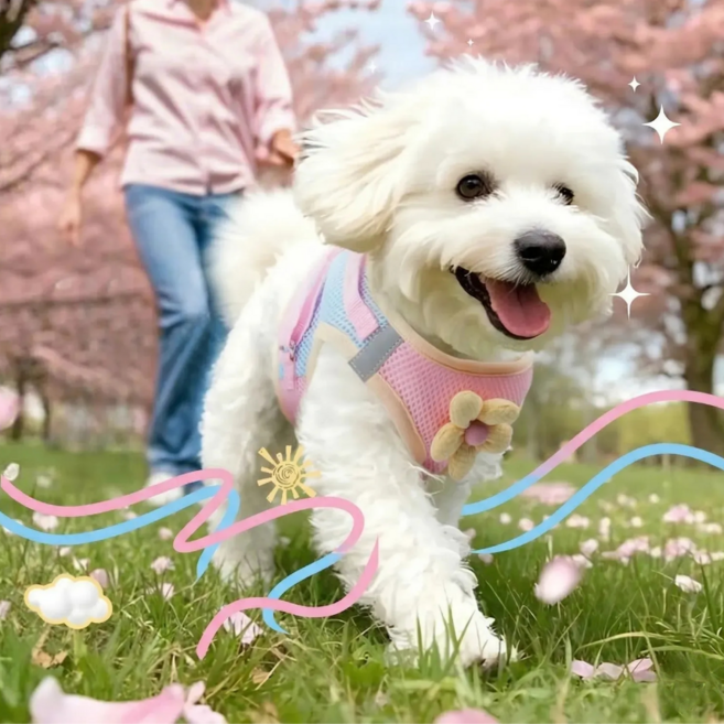 홈온리 편한 소형견 하네스 리드줄, 1세트, 핑크