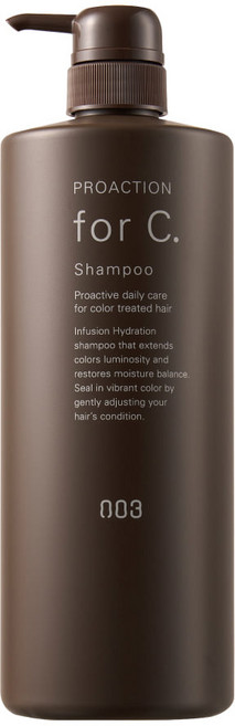 넘버쓰리 프로액션 포씨 샴푸 1000ml 두피관리 모발관리 탈모관리 건조 각질 단백질 극손상 비듬, 1개, 1L