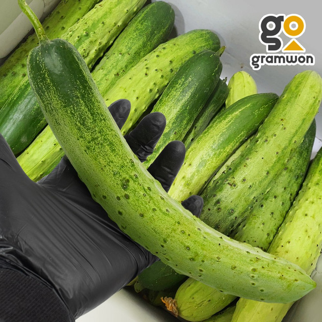 다다기 오이 상 3kg, 다다기오이 상 3kg, 1개