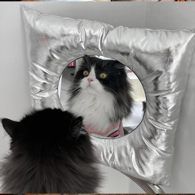 EGMI 인테리어 장식 버브폼 쿠션 거울, 실버