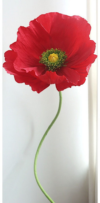 올유니드 자이언트페이퍼플라워 DIY 종이꽃 포토존 인테리어장식 데코장식, C