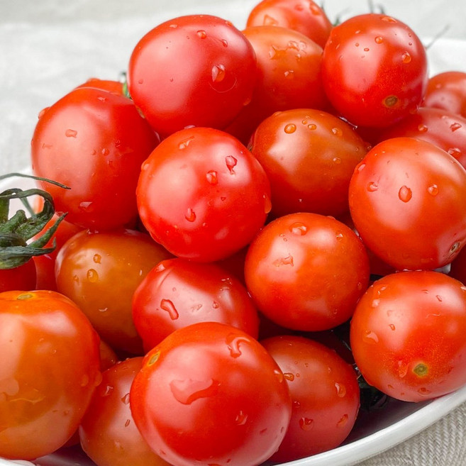 스테비아 방울토마토 애플 토마토 1kg 샤인 스위프리, 스위프리 샤인 방울토마토 1kg(500g2팩)