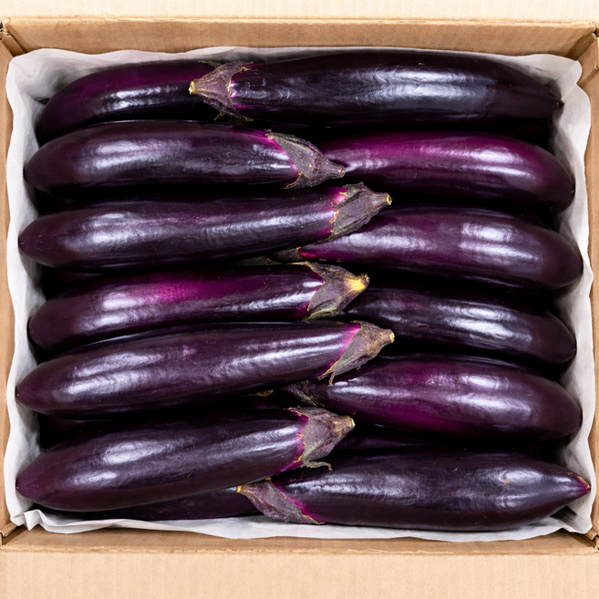 국내산 가지 특품 최상품, 1kg, 1개, 2kg(특품)