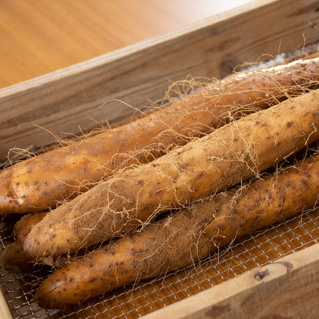 안동 태산농장 2025햇마 장마, 1박스, 3kg (j.장마특품)