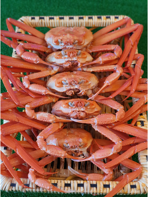 [산지직송] 넘버원크랩 울진 후포리 명품 자숙 홍게 3kg 품질 수율 보장 당일배송 택배비무료 울진 후포 영덕 속초 붉은대게, 후포리 육수용 홍게 3kg  10미, 10개, 육수용 3kg