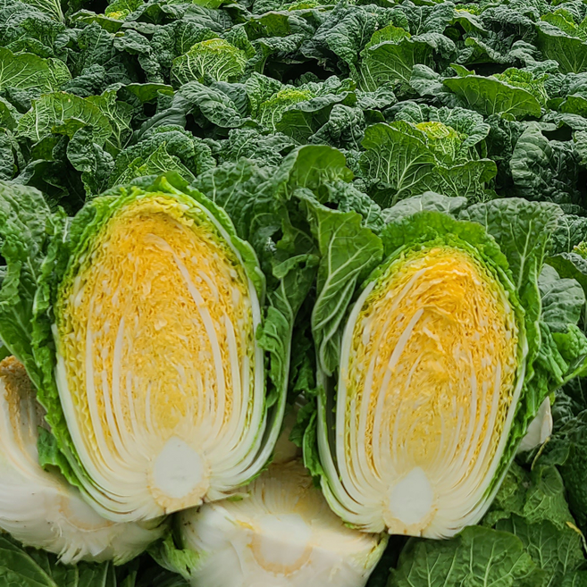 예약발송 국산 강원도 고랭지 절임배추20kg 1박스 김장재료 출고예정 11월14일 도착, 11월 13일 출고, 20kg