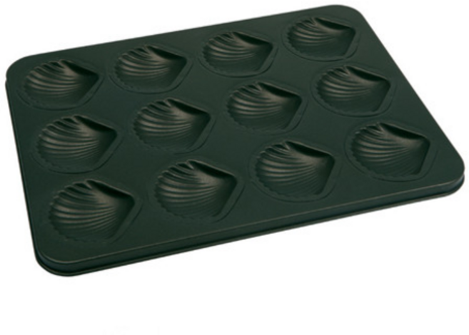 에바 조가비 12구 양, 1개