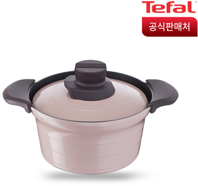 테팔 인덕션 트레져 찌개냄비 20cm, 혼합색상, 1개