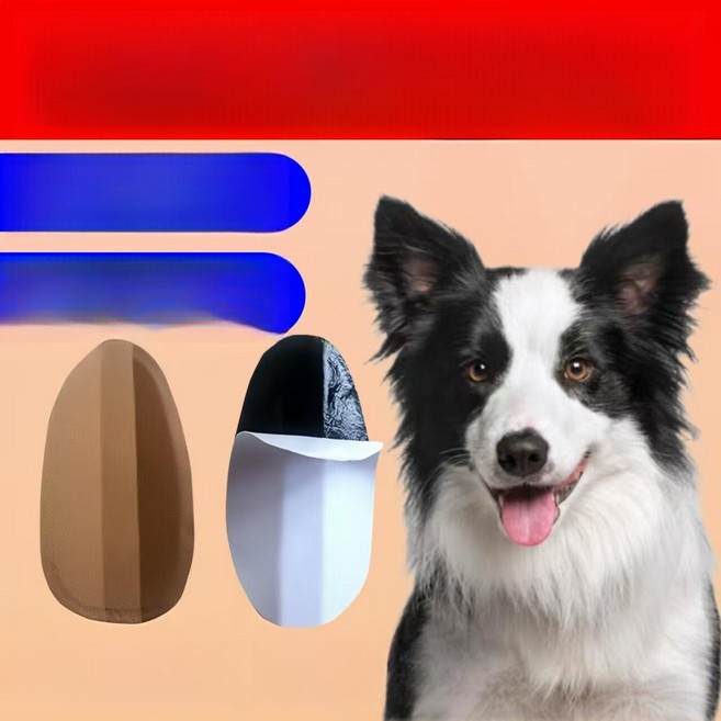 강아지 귀 교정 동물 스티커 패치 누운귀 테이프 반려견, 1박스 체험팩, 1개, 1L