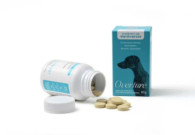 [면역&기관지] 오디에이씨 오버츄어 이뮤니&브롱키 웰니스 60정, 1개, 면역 지원 - 쿠팡