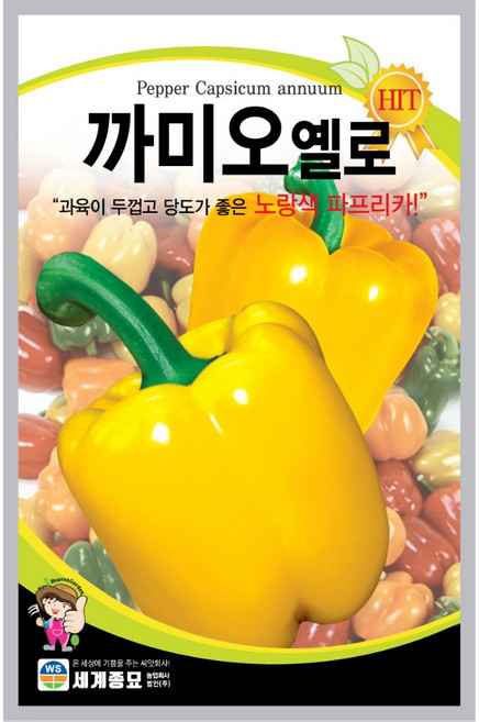 [주주씨앗] 대포장 노란파프리카 씨앗 100립 / 까미오옐로 블록형 파프리카 종자 / 대포장 채소씨앗 씨앗몰, 1개