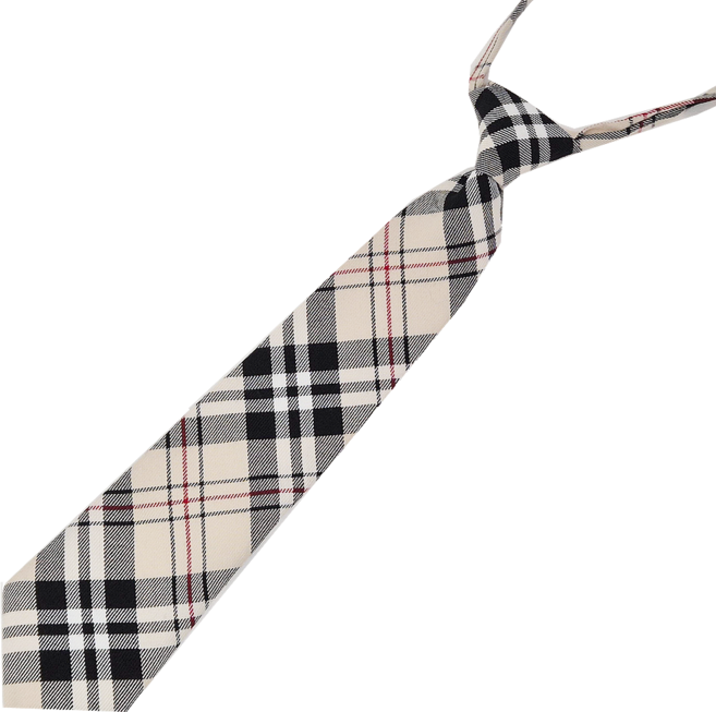 체크 패턴 스쿨룩 교복 넥타이