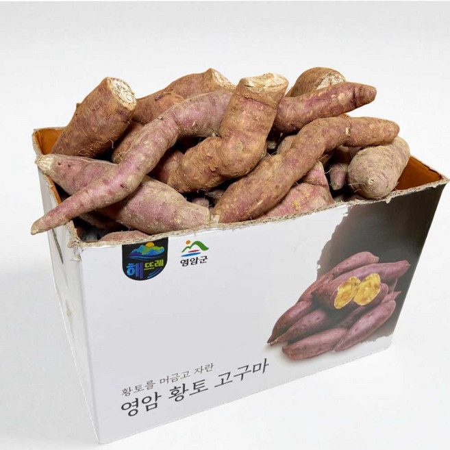 해뜨레 못난이 파지 꿀고구마 호박고구마, 1개, 5kg 못난이 (꿀&호박랜덤)