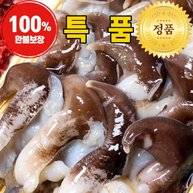 [여수직송] 프리미엄 손질새조개 당일조업 당일손질, 1박스, 500g